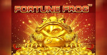 Fortune Frog